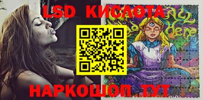 jwh Будённовск