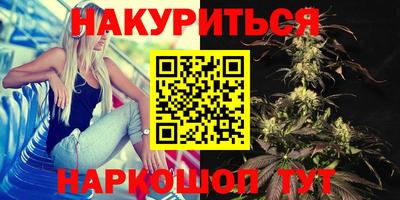 jwh Будённовск
